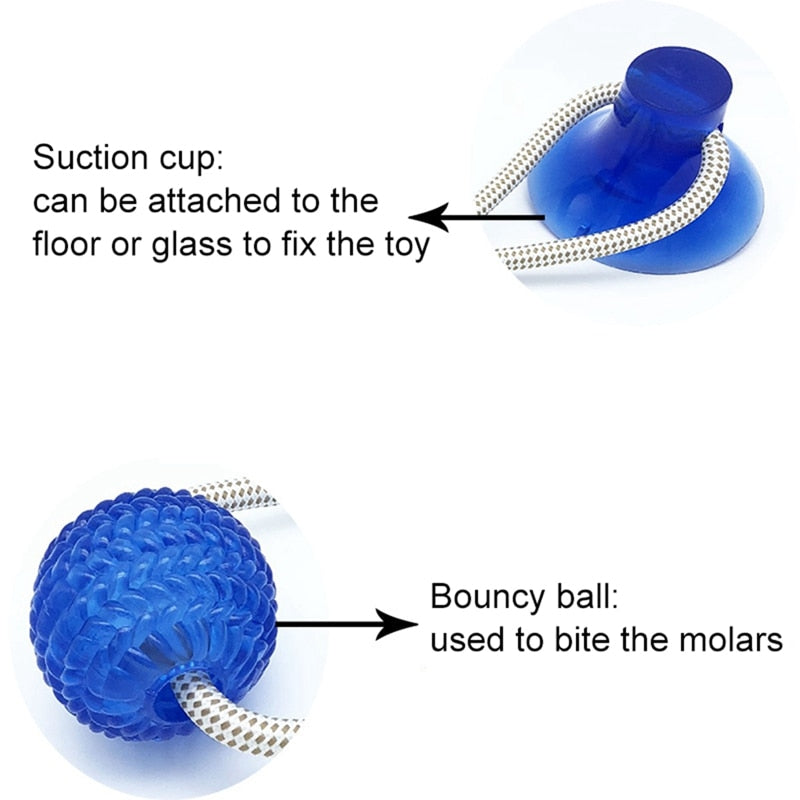 Multifunction Pet Molar Bite Toy  Interactive fun Pet toy with suction cup dog push toy with TPR ball Pet Tooth Cleaning,Chewing - TRIPLE AAA Fashion Collection