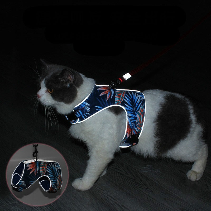 Polyester Pet Harness Set Reflective Traction Rope Set Breathable Chest And Back Cat Vest-style Chest Strap Small And Medium Cat