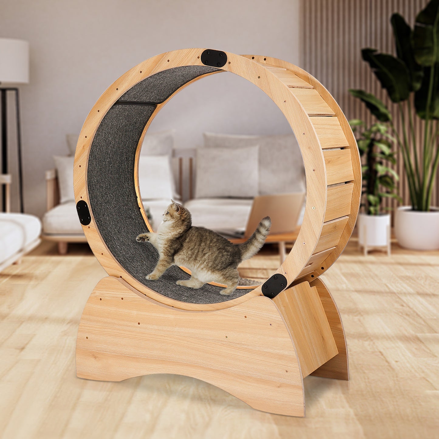 Cat Exercise Wheel – Running, Spinning, and Scratching Fun, Cat Treadmill with Carpeted Runway, Kitty Cat Sport Toy, Great for Physical Activity and Reducing Boredom