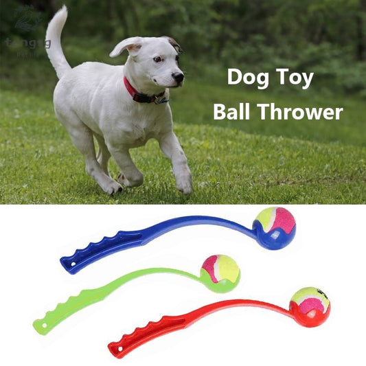 Pet Throwing ToysPet Supplies Outdoor Sports Dog Toy Ball Throwing Ball Launcher Pet Training Interactive Toy Dog Retrieve Toys - TRIPLE AAA Fashion Collection
